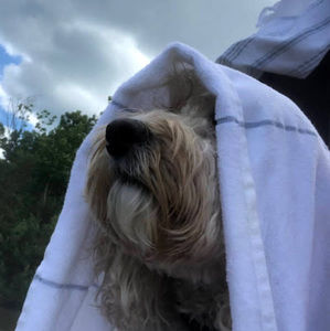 Meet your Posher, Deborah